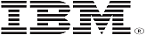 IBM GBS